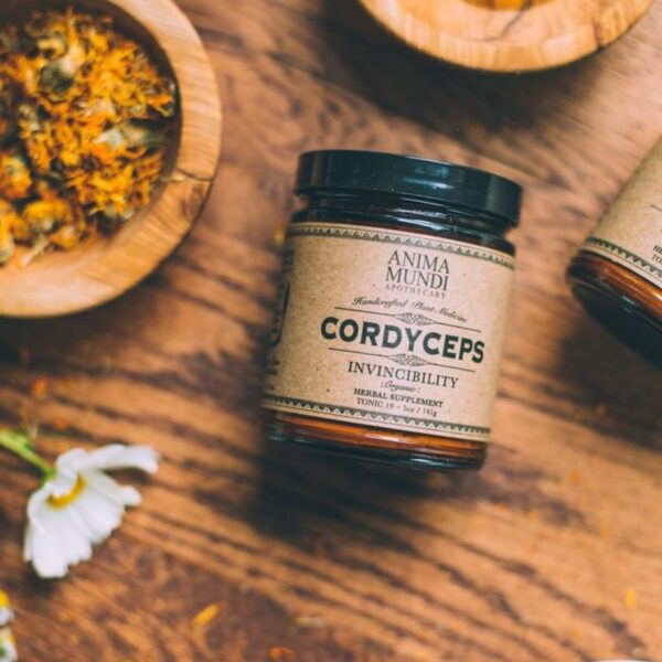 Anima Mundi Cordyceps Mushroom Powder – Real Organic Cordyceps Mushroom Powder – Mushroom Powder Supplement for Liver and Immune