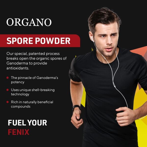 Organo OGX Spore Powder – Support Good Health – Ganoderma lucidum – Organic Reishi Mushrooms – Maximize Potency- 45 Servings