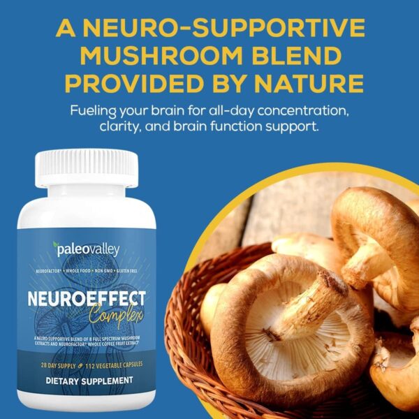 Paleovalley NeuroEffect – Neuro Mushroom Coffee Nutritional Supplement for Focus, Memory, and Energy Support – 28-Day Supply – 8