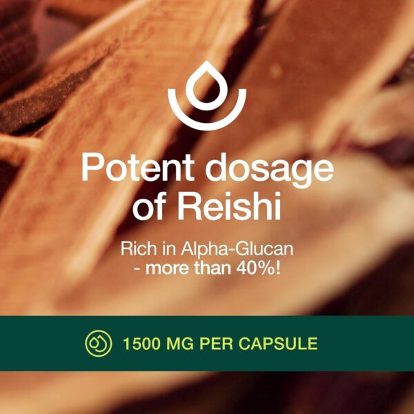 Organic Reishi Mushroom Capsules – Rich in Alpha Glucan – Ganoderma Lucidum & Ganoderma Applanatim – Third Party Tested – 90