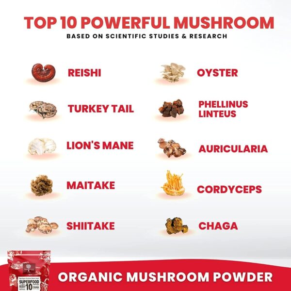 Organic Mushroom Powder Extract -Superfood 10 Supplement 14x Stronger 100% Pure USDA Immunity Booster- Reishi, Chaga, Cordyceps,