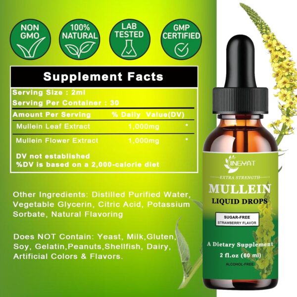 Extra Strength 2,000mg Mullein Drops for Lungs, Mullein Leaf Extract Supplement, Alcohol Free, High Absorption, Powerful and