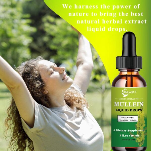 Extra Strength 2,000mg Mullein Drops for Lungs, Mullein Leaf Extract Supplement, Alcohol Free, High Absorption, Powerful and