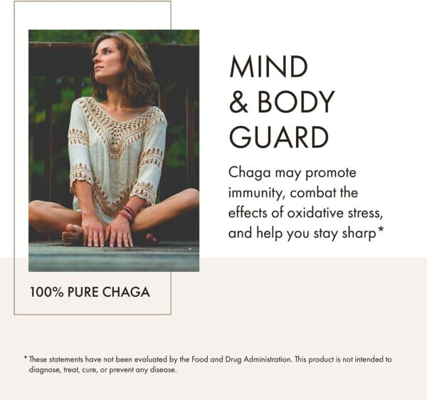 Anima Mundi Chaga Mushroom Powder – Organic Chaga Mushroom Powder – Immune System Support Supplement with Organic Chaga Extract