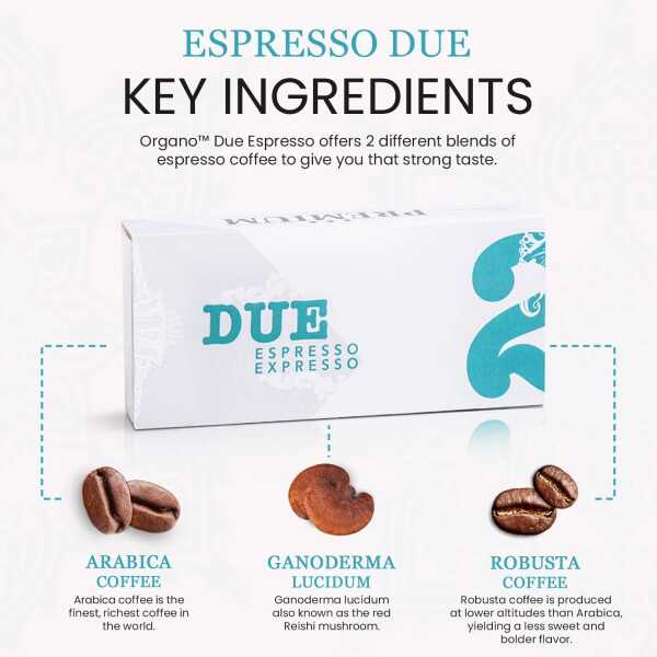 ORGANO Espresso DUE Coffee capsules – Ganoderma Lucidum – Arabica Coffee Beans – Robusta Coffee – Sugar & Salt Free – 10