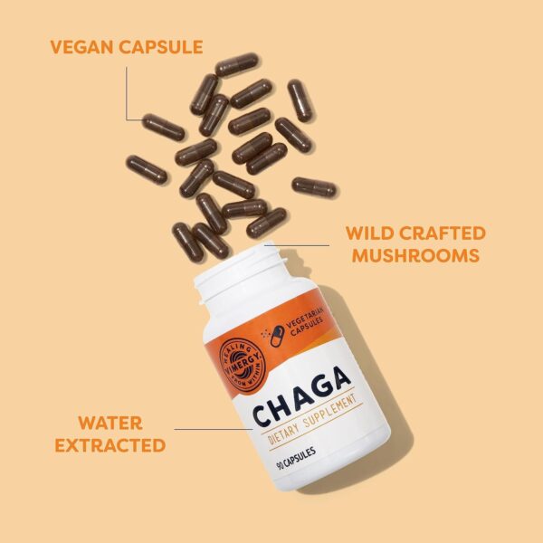 Vimergy USDA Organic Wild Chaga Mushroom Extract Powder, 33 Servings – Ideal in Chaga Tea, Coffee, Smoothies –