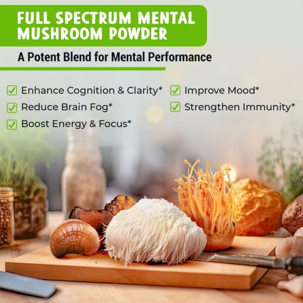 MAJU’s Mental Mushroom Powder Extract, Strong Lions Mane, Chaga, Reishi, Cordyceps, Fruiting Bodies for Coffee, Immune System