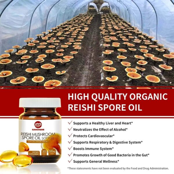 Organic Reishi Mushroom Spore Oil Supplement-USDA Ganoderma Lucidum Extract Capsule-Immune System Natural Energy for