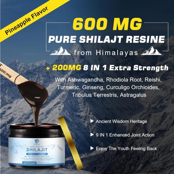 800Mg Himalayan Shilajit Resin, 9-in-1 Shilajit Supplement, Shilajit Pure Himalayan Organic, Ashwagandha, Rhodiola Rosea, Gingko