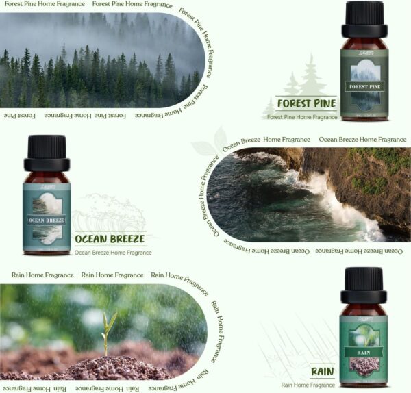 SALUBRITO Essential Oils Set, Nature Fragrance Oils Set – Forest Pine, Ocean Breeze, Rain, Fresh Cut Grass, Mountain Air,