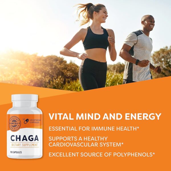 Vimergy Chaga Mushroom Capsules, 30 Servings – Real Mushroom Herbal Supplement for Cardiovascular Support – Kosher, Non-GMO,