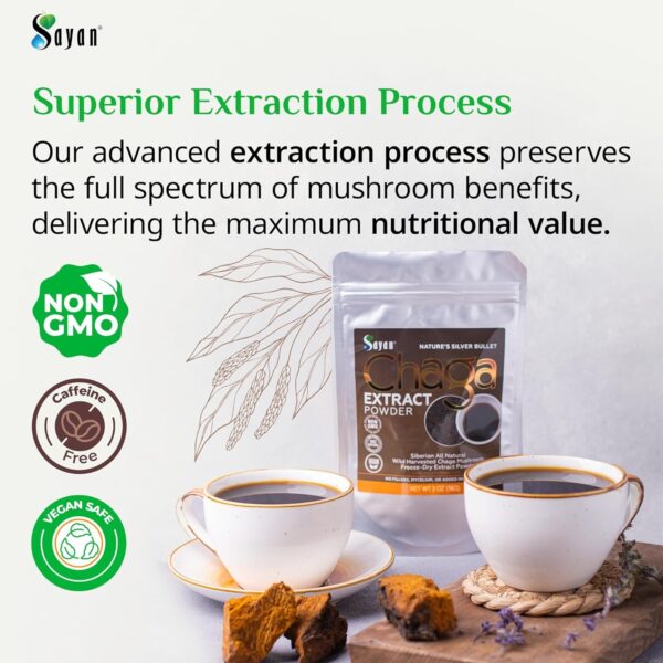 Sayan Siberian Wild Fresh Chaga Mushroom Extract Powder 2oz / 56g Organic Antioxidant Tea Energy Booster, Immune System Support,