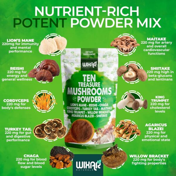 Wixar Mushroom Powder – Ten Treasure Mushrooms Extract Supplement Blend for Coffee & Smoothies – Lions Mane, Turkey Tail,