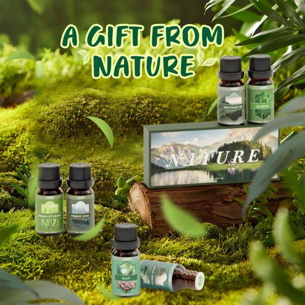 SALUBRITO Essential Oils Set, Nature Fragrance Oils Set – Forest Pine, Ocean Breeze, Rain, Fresh Cut Grass, Mountain Air,