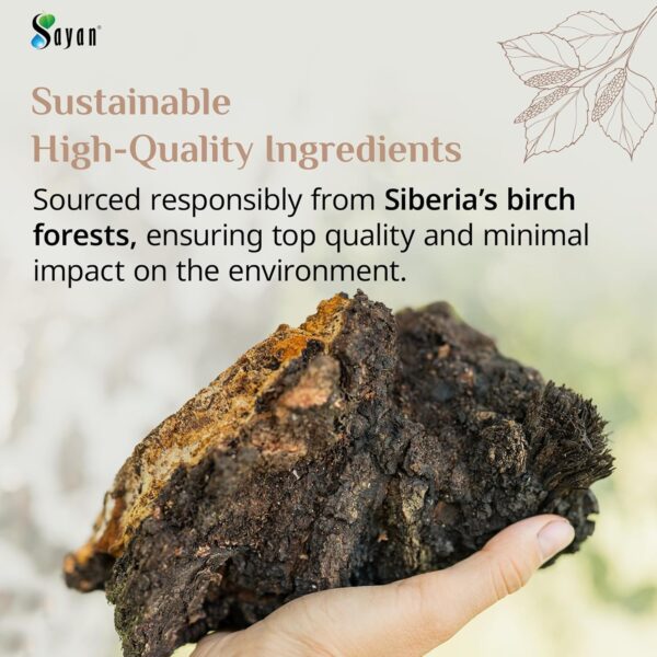 Sayan Siberian Wild Forest Chaga Mushroom Extract Powder and Betulin Birch Bark Extract, 2 Oz (56 g) Antioxidant Tea for Immune