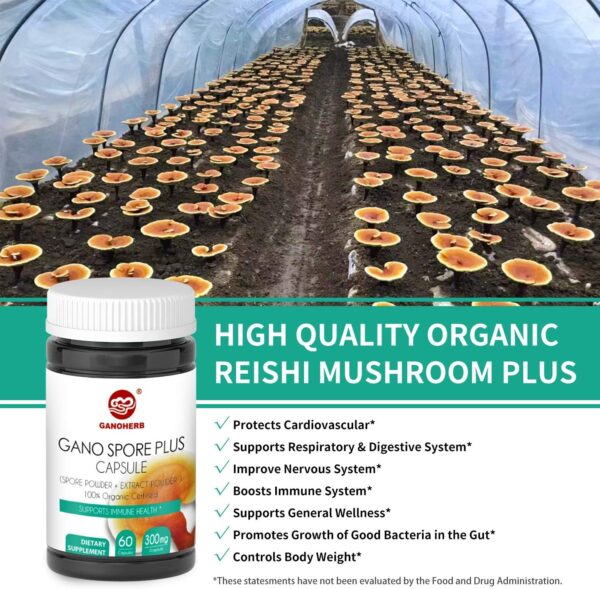 Organic Reishi Mushroom Spore Plus Capsules with 100% Ganoderma Lucidum Spore Powder+ Extract, Vegan, All Natural, Non-GMO &