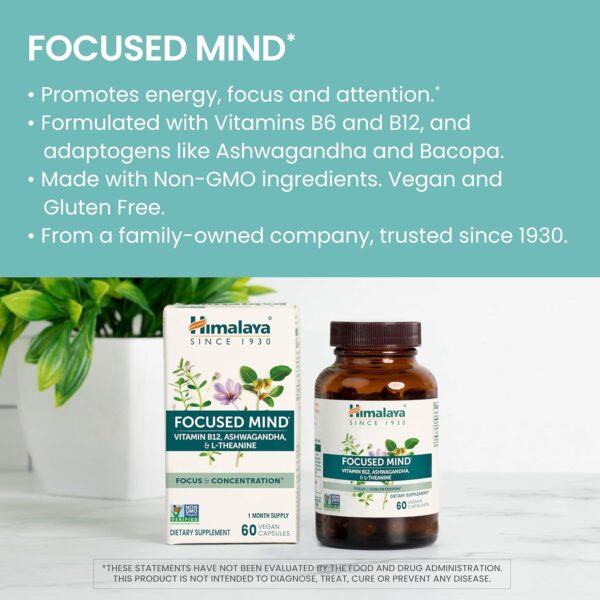 Himalaya Focused Mind with Ashwagandha, Bacopa & L-Theanine for Focus, Energy and Attention, 60 Capsules, 1 Month Supply, Vegan,