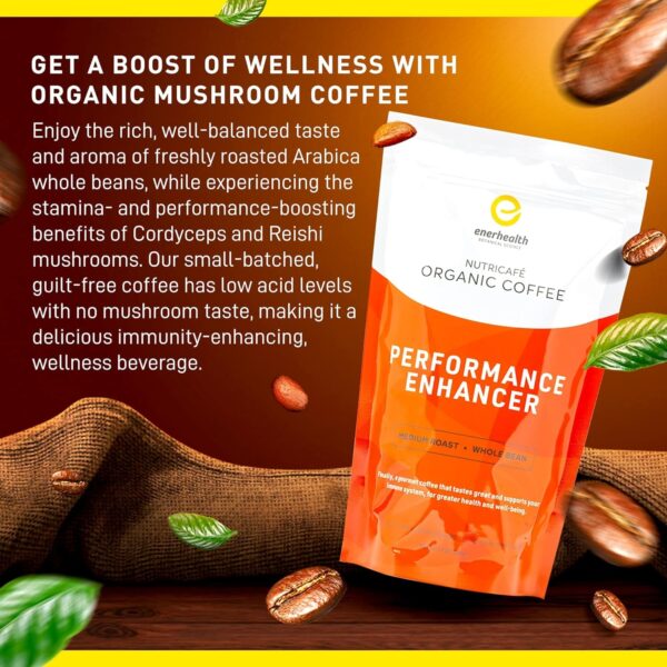 Enerhealth Botanicals NutriCafé Perfomance Enhancer – Fairly Traded, Low Acid, Medium Roast Whole Arabica Bean Coffee,