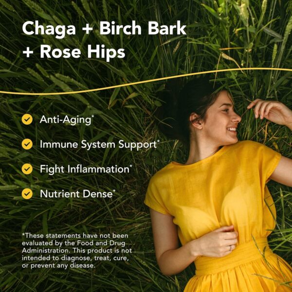 NORTH AMERICAN HERB & SPICE ChagaBlack Tea – 3.2 oz. – Chaga Wild Mushroom Herbal Tea, Coffee Substitute – Adaptogen, Adrenal