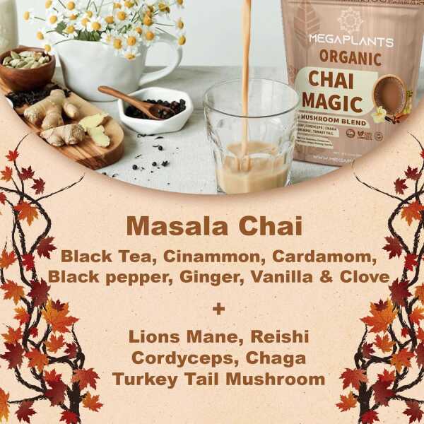 Chai Magic (50 Servings) | Superfood 5 Mushroom Powder Blend for Focus, Clarity & Energy + Spiced Masala Chai Blend | Smoothie,