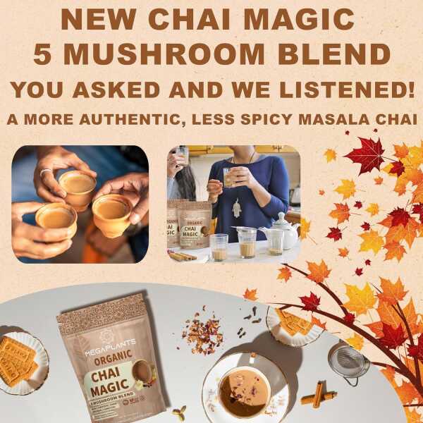 Chai Magic (50 Servings) | Superfood 5 Mushroom Powder Blend for Focus, Clarity & Energy + Spiced Masala Chai Blend | Smoothie,