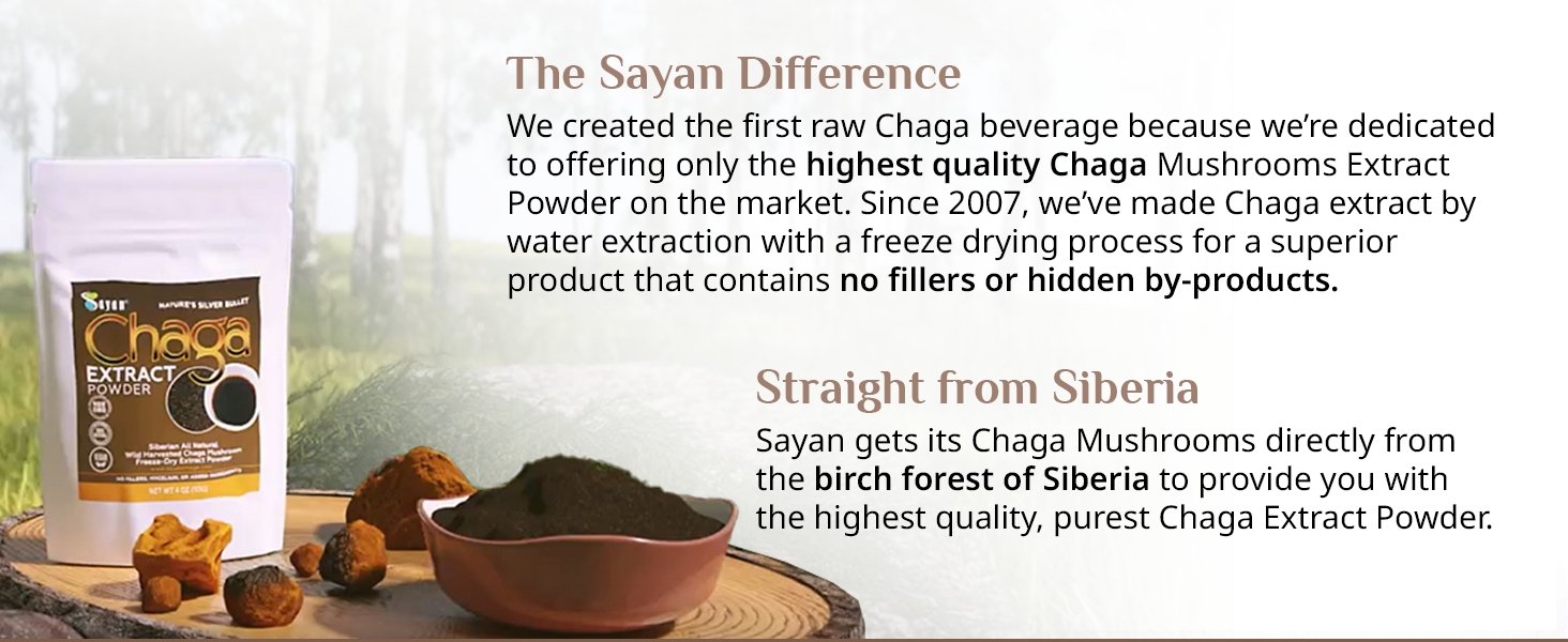 Chaga Beverage mushroom Powder