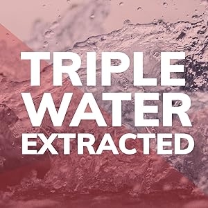 Triple Water Extracted Mushroom Extracts Wild Foods Clean Real Food All Natural Log Grown Healthy