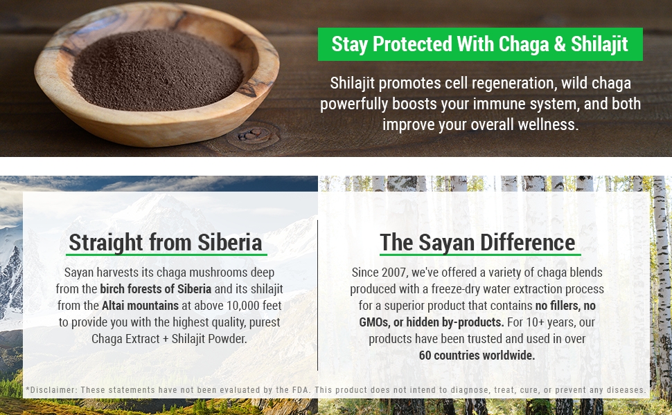 Sayan Health chaga antioxidants mushrooms chaga powder chaga tea