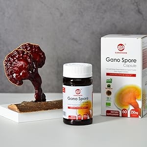 reishi