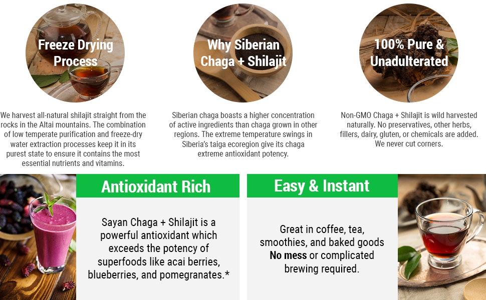 Sayan Health chaga antioxidants mushrooms chaga powder chaga tea