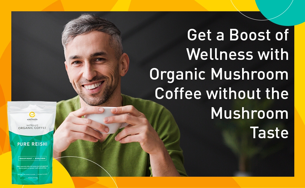 Reishi amino blend mycelium fruiting bodies increase energy well-being reduce fight fatigue immune 