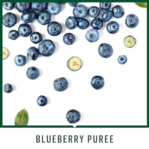 blueberry, puree, juice, cleanse, energy, shot, suja